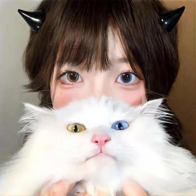 完美分身